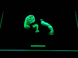 FREE San Francisco 49ers Colin Kaepernick (2) LED Sign - Green - TheLedHeroes