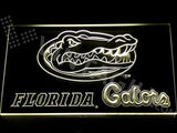 Florida Gators 2 LED Neon Sign USB - Yellow - TheLedHeroes
