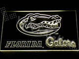 FREE Florida Gators 2 LED Sign - Yellow - TheLedHeroes