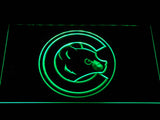 FREE Chicago Cubs (4) LED Sign - Green - TheLedHeroes