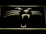 Carolina Panthers (2) LED Sign - Yellow - TheLedHeroes