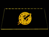 Futurama Planet Express LED Neon Sign USB - Yellow - TheLedHeroes