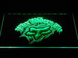 Fox Riders Co LED Neon Sign USB - Green - TheLedHeroes