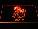 Flinstone LED Neon Sign Electrical - Orange - TheLedHeroes