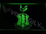 Bradford City AFC LED Neon Sign USB - Green - TheLedHeroes