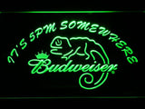 Budweiser Chameleon It's 5pm Somewhere LED Neon Sign Electrical -  - TheLedHeroes