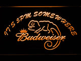 Budweiser Chameleon It's 5pm Somewhere LED Neon Sign USB -  - TheLedHeroes