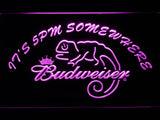 Budweiser Chameleon It's 5pm Somewhere LED Neon Sign Electrical -  - TheLedHeroes