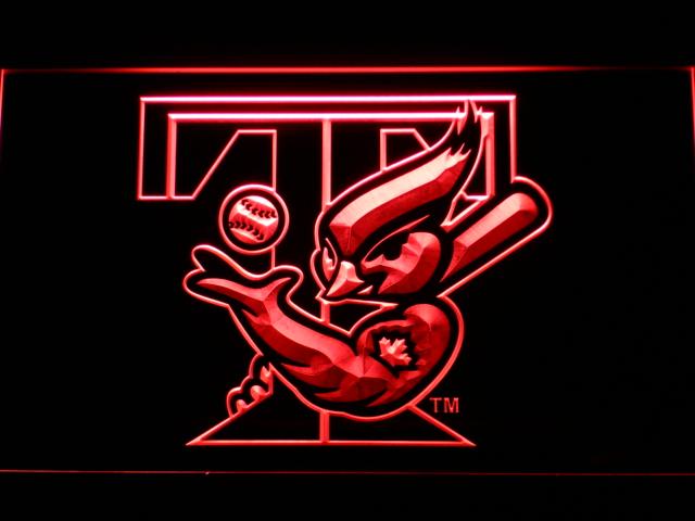 Toronto Blue Jays (11) LED Neon Sign USB - Red - TheLedHeroes