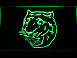 Detroit Tigers (9) LED Neon Sign USB - Green - TheLedHeroes