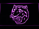 Detroit Tigers (9) LED Neon Sign USB - Purple - TheLedHeroes