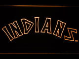 Cleveland Indians (12) LED Neon Sign USB - Orange - TheLedHeroes