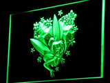 Disney Tinkerbell Peter Pan (2) LED Neon Sign Electrical - Green - TheLedHeroes