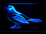 Baltimore Orioles (14) LED Neon Sign Electrical - Blue - TheLedHeroes