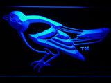Baltimore Orioles (16) LED Neon Sign Electrical - Blue - TheLedHeroes