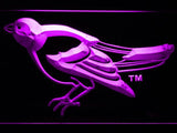 Baltimore Orioles (16) LED Neon Sign USB - Purple - TheLedHeroes