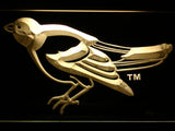 Baltimore Orioles (16) LED Neon Sign Electrical - Yellow - TheLedHeroes
