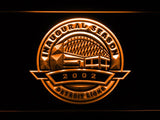 Detroit Lions Inaugural Season 2002 LED Neon Sign USB - Orange - TheLedHeroes