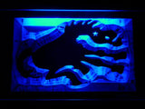 Denver Broncos (9) LED Neon Sign USB - Blue - TheLedHeroes