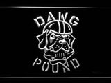 Cleveland Browns Dawg Pound LED Neon Sign USB - White - TheLedHeroes