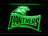 FREE Carolina Panthers (6) LED Sign - Green - TheLedHeroes