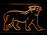 FREE Carolina Panthers (7) LED Sign - Orange - TheLedHeroes