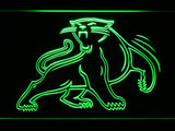 FREE Carolina Panthers (8) LED Sign - Green - TheLedHeroes
