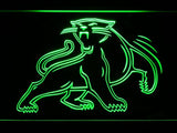 Carolina Panthers (8) LED Neon Sign USB - Green - TheLedHeroes