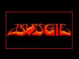 Budgie LED Neon Sign Electrical - Red - TheLedHeroes