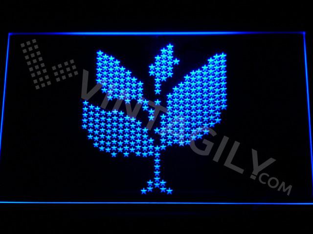Sasha & John Digweed LED Neon Sign USB - Blue - TheLedHeroes