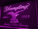 Yuengling LED Neon Sign USB - Purple - TheLedHeroes