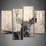 Whitetail Deer Buck Moving Bush 4 Pcs Wall Canvas -  - TheLedHeroes