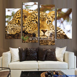 African Leopards Sitting 4 Pcs Wall Canvas -  - TheLedHeroes