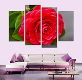 Red Flower 4 Pcs Wall Canvas -  - TheLedHeroes