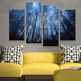Fine Star Sky 4 Pcs Wall Canvas -  - TheLedHeroes