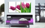 Red Purple Pink Tulips 3 Pcs Wall Canvas -  - TheLedHeroes