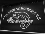 Budweiser Chameleon It's 5pm Somewhere LED Neon Sign Electrical - White - TheLedHeroes