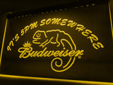 Budweiser Chameleon It's 5pm Somewhere LED Neon Sign Electrical - Yellow - TheLedHeroes